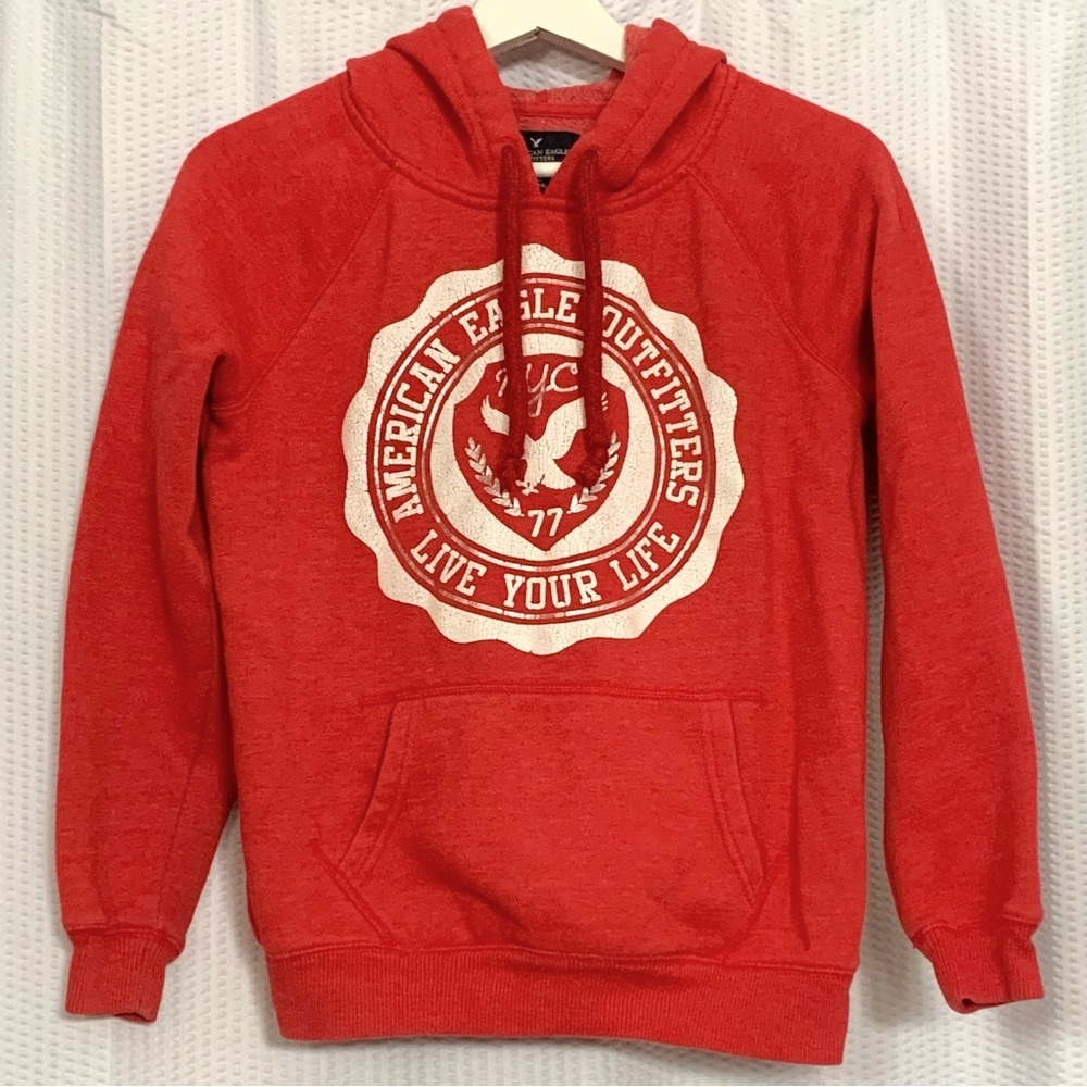 AEO Vintage Hoodie